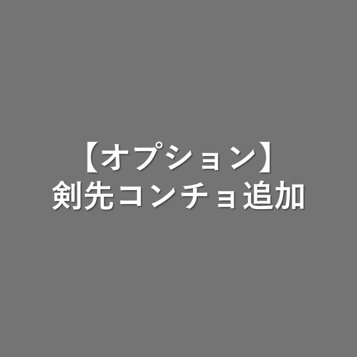 【オプション】剣先コンチョ追加